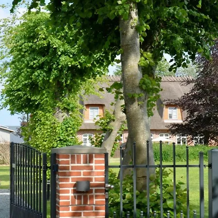 Domstag Apartman Kronsgaard